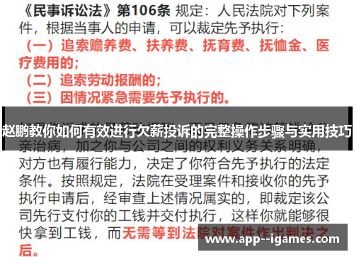 赵鹏教你如何有效进行欠薪投诉的完整操作步骤与实用技巧