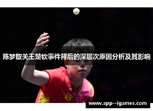 陈梦取关王楚钦事件背后的深层次原因分析及其影响