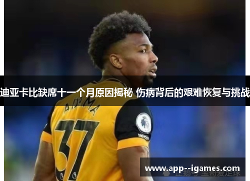 迪亚卡比缺席十一个月原因揭秘 伤病背后的艰难恢复与挑战